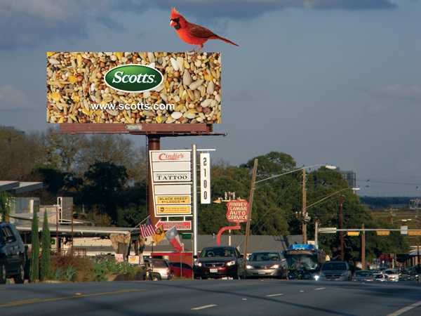 Scotts Billboard